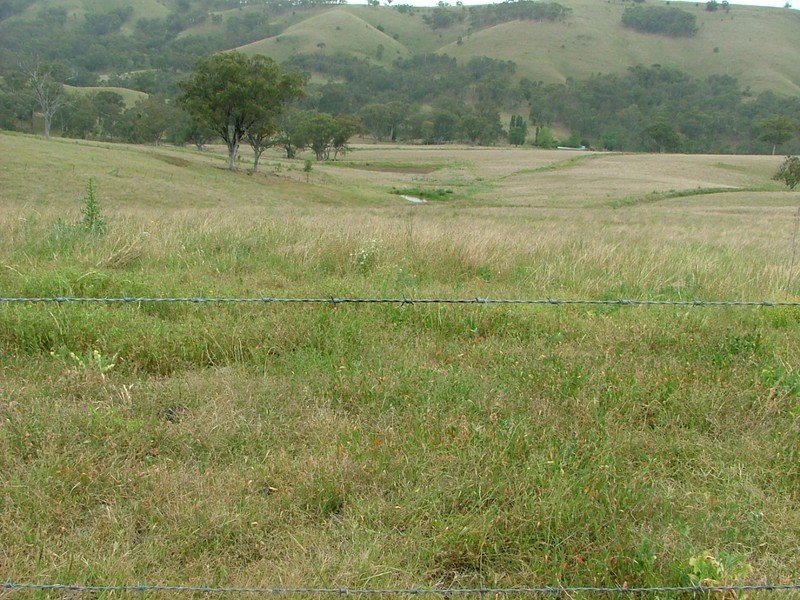 HILLVIEW, Timor Road, Murrurundi NSW 2338