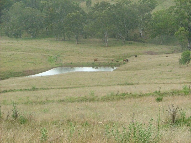 HILLVIEW, Timor Road, Murrurundi NSW 2338