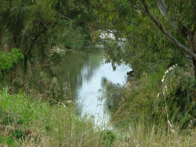 “Sunnybank” 784 New England Highway, NEMINGHA /, Tamworth NSW 2340
