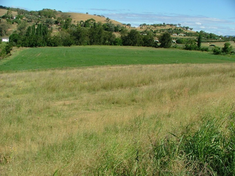 “Sunnybank” 784 New England Highway, NEMINGHA /, Tamworth NSW 2340