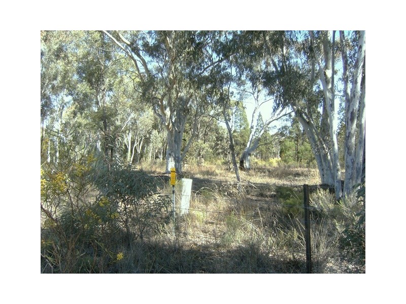 Coonabarabran NSW 2357