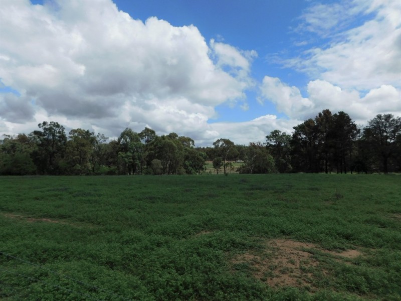 440 Timor Road, Coonabarabran NSW 2357