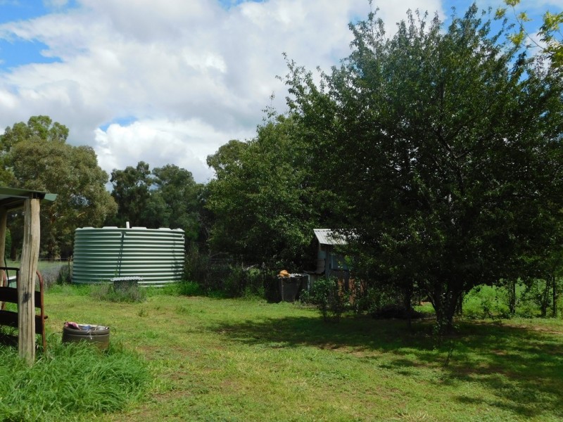 440 Timor Road, Coonabarabran NSW 2357