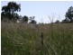 324 River Road, Coonabarabran NSW 2357