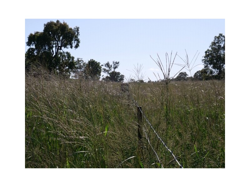 324 River Road, Coonabarabran NSW 2357