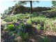 324 River Road, Coonabarabran NSW 2357