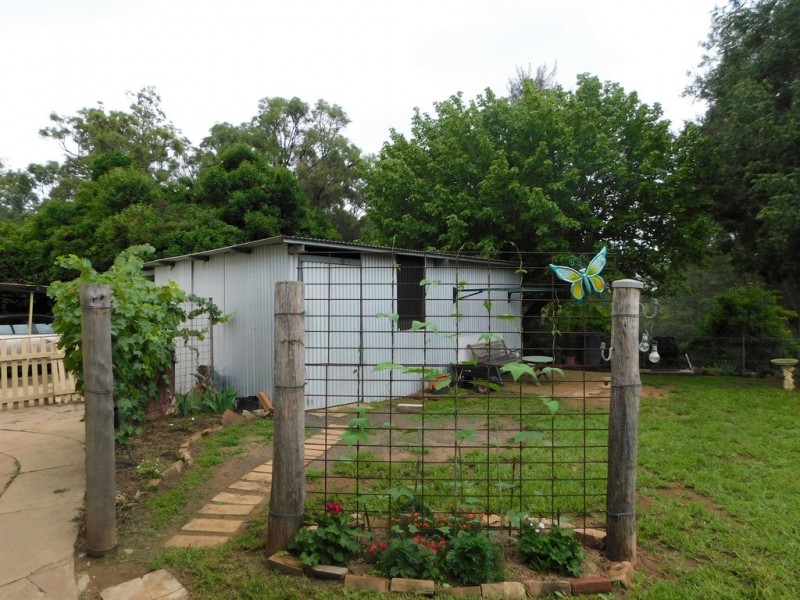 21 Namoi St, Coonabarabran NSW 2357