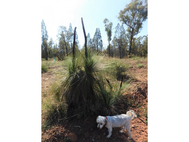 183 Kurrajong Road, Bugaldie NSW 2357