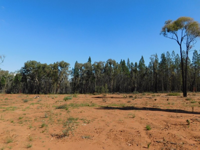 183 Kurrajong Road, Bugaldie NSW 2357