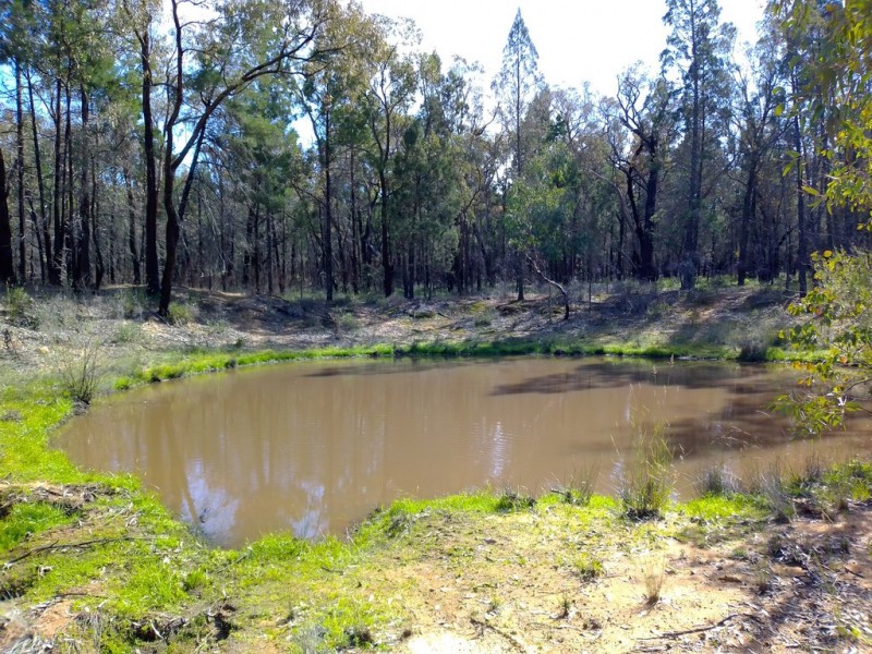 183 Kurrajong Road, Bugaldie NSW 2357