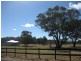 222 Timor Road, Coonabarabran NSW 2357