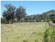 411 Lowes Creek Road QUIPOLLY /, Quirindi NSW 2343