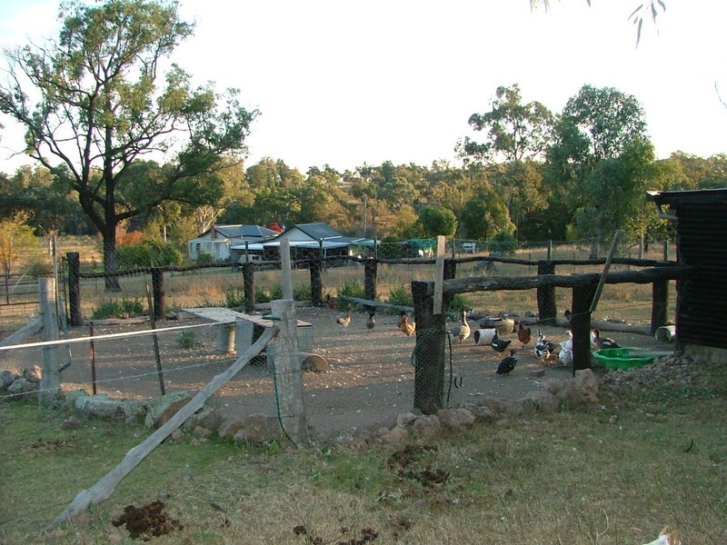 411 Lowes Creek Road QUIPOLLY /, Quirindi NSW 2343