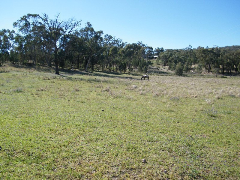 411 Lowes Creek Road QUIPOLLY /, Quirindi NSW 2343