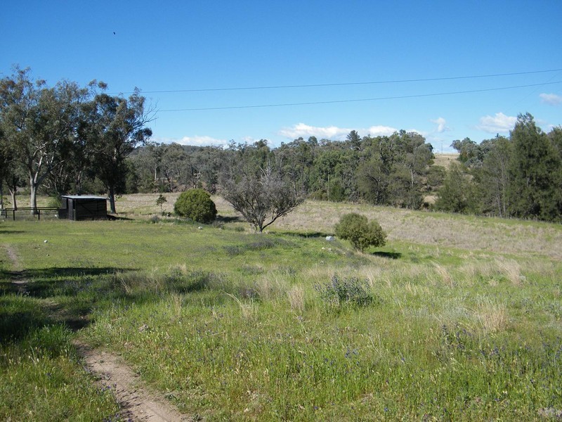 411 Lowes Creek Road QUIPOLLY /, Quirindi NSW 2343