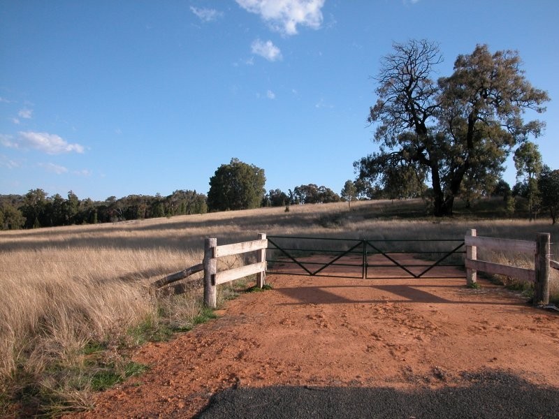 Nandi Hills, Coonabarabran NSW 2357