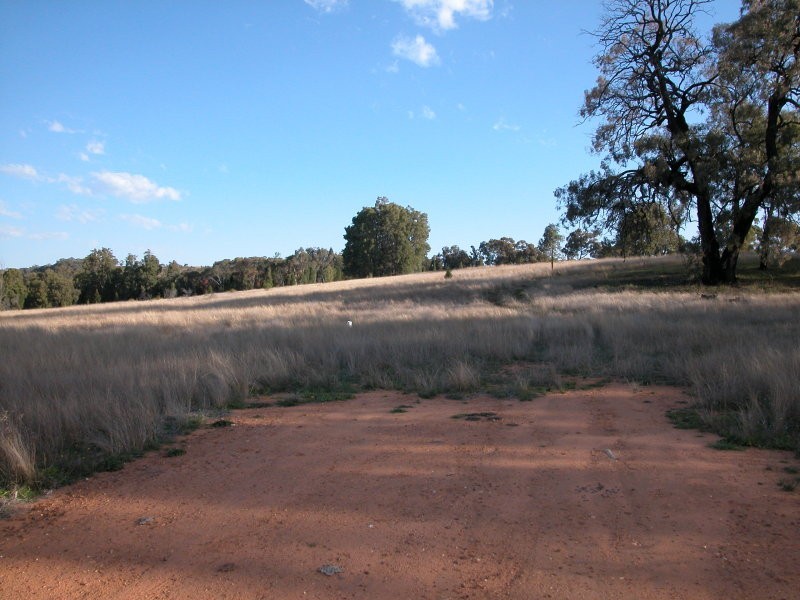 Nandi Hills, Coonabarabran NSW 2357