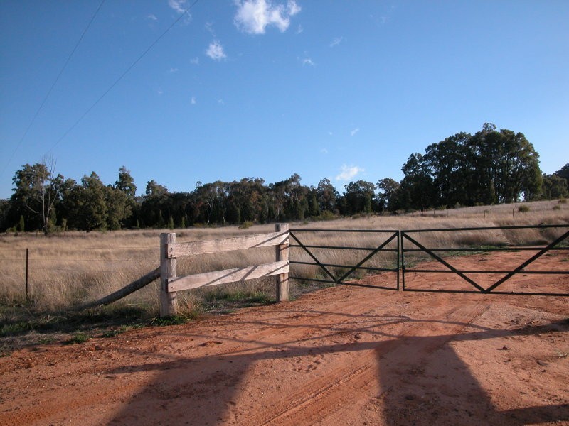 Nandi Hills, Coonabarabran NSW 2357