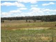 Coonabarabran NSW 2357
