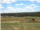 Coonabarabran NSW 2357