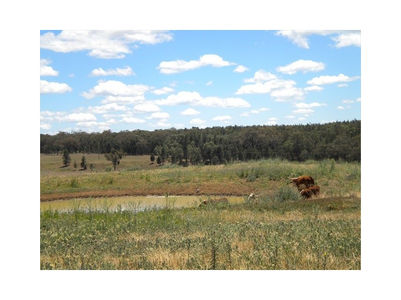 Coonabarabran NSW 2357