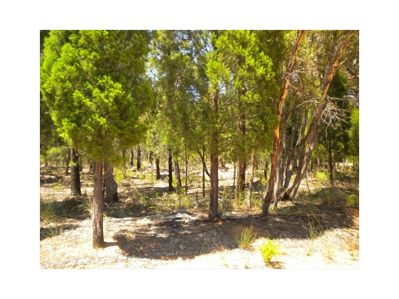 Coonabarabran NSW 2357