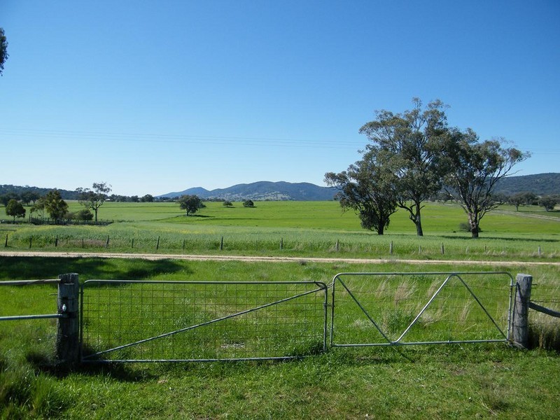 TREGANTLE, Borah Creek Road, Quirindi NSW 2343