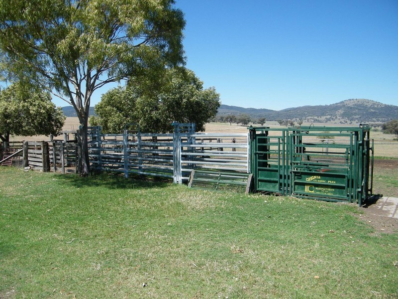 TREGANTLE, Borah Creek Road, Quirindi NSW 2343