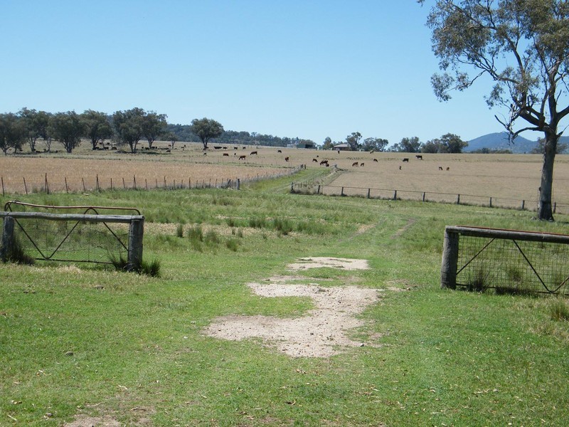 TREGANTLE, Borah Creek Road, Quirindi NSW 2343