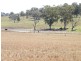 TREGANTLE, Borah Creek Road, Quirindi NSW 2343