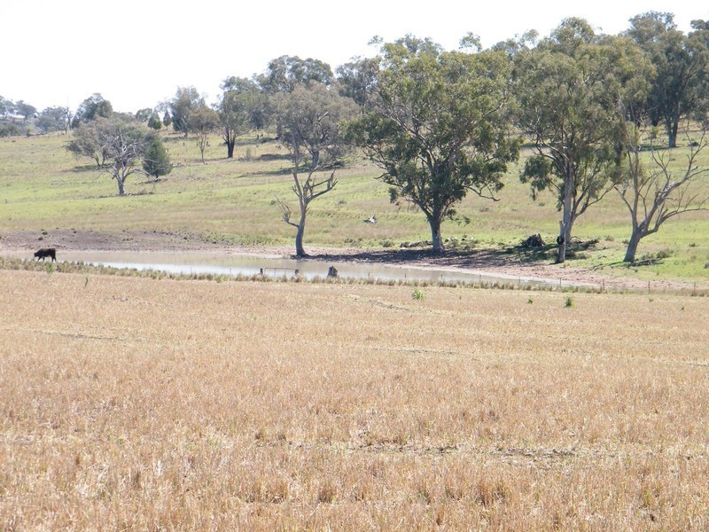 TREGANTLE, Borah Creek Road, Quirindi NSW 2343