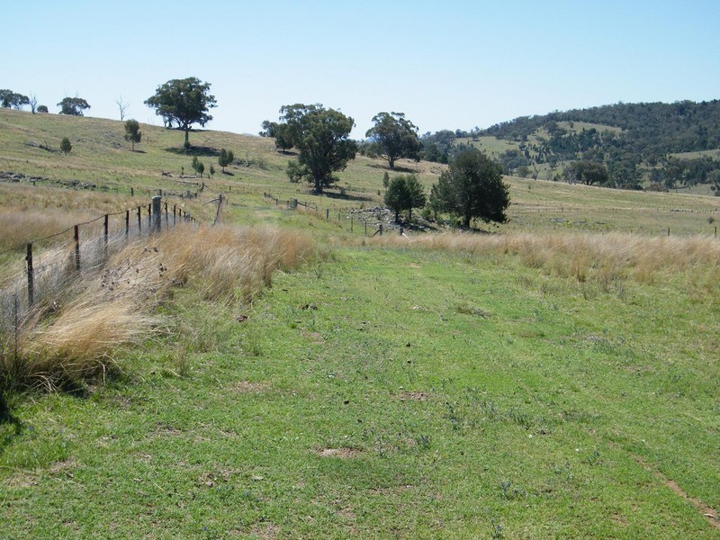 TREGANTLE, Borah Creek Road, Quirindi NSW 2343