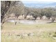 TREGANTLE, Borah Creek Road, Quirindi NSW 2343