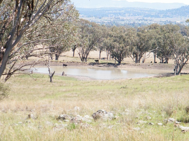 TREGANTLE, Borah Creek Road, Quirindi NSW 2343