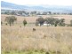 TREGANTLE, Borah Creek Road, Quirindi NSW 2343