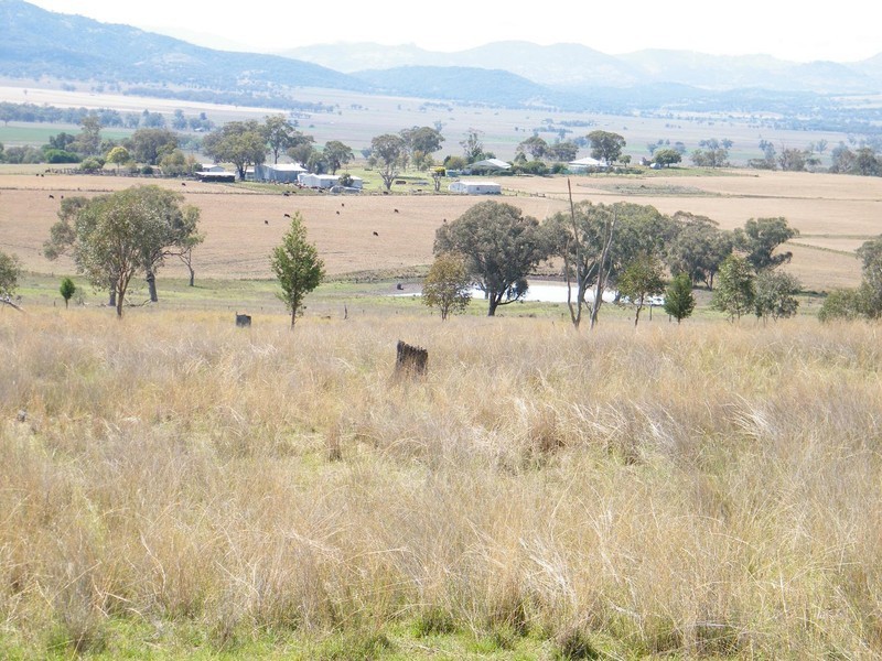 TREGANTLE, Borah Creek Road, Quirindi NSW 2343