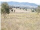 TREGANTLE, Borah Creek Road, Quirindi NSW 2343
