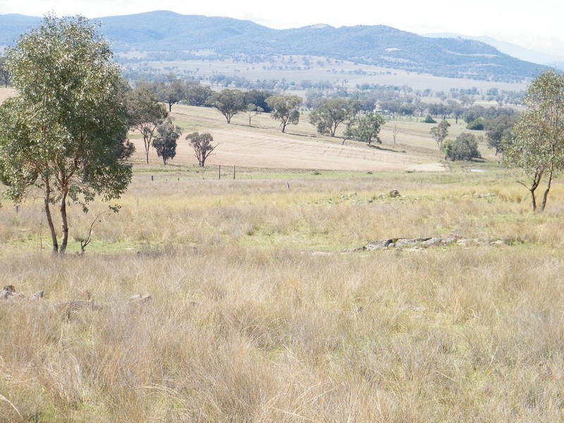 TREGANTLE, Borah Creek Road, Quirindi NSW 2343