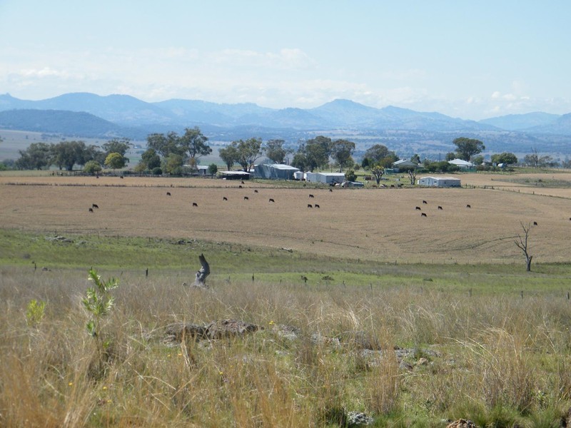 TREGANTLE, Borah Creek Road, Quirindi NSW 2343