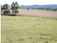 TREGANTLE, Borah Creek Road, Quirindi NSW 2343