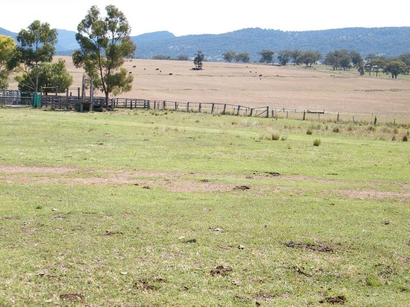 TREGANTLE, Borah Creek Road, Quirindi NSW 2343