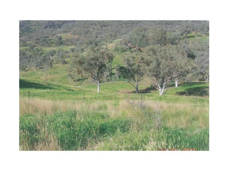 157 Keridene Road, Piallamore NSW 2340