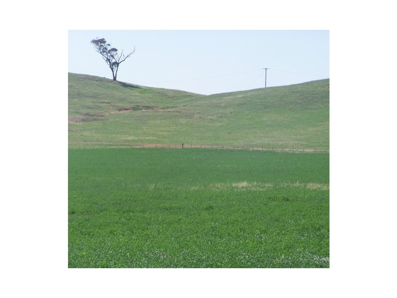 “Craigie Springs” Block 1, Orange NSW 2800