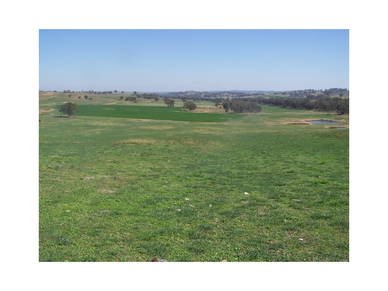 “Craigie Springs” Block 1, Orange NSW 2800