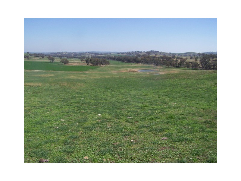 “Craigie Springs” Block 1, Orange NSW 2800