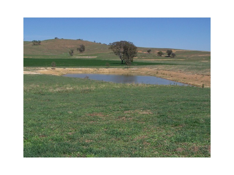 “Craigie Springs” Block 1, Orange NSW 2800