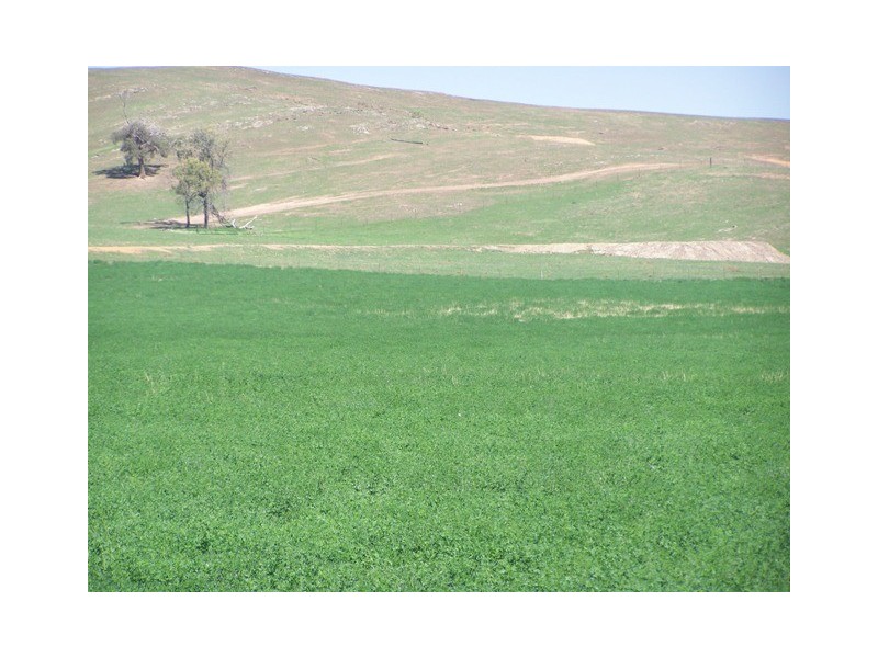 “Craigie Springs” Block 1, Orange NSW 2800