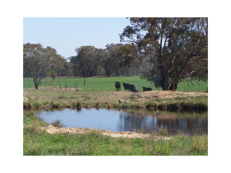 “Craigie Springs” Block 1, Orange NSW 2800