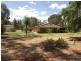 Lot 148 Cumbil Road, Baradine NSW 2396
