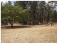 Lot 148 Cumbil Road, Baradine NSW 2396